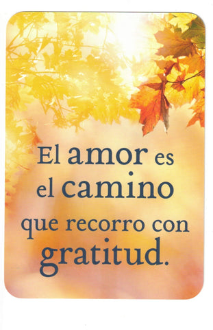 MILAGROS DIARIOS (LIBRO Y CARTAS DE UN CURSO DE MILAGROS)