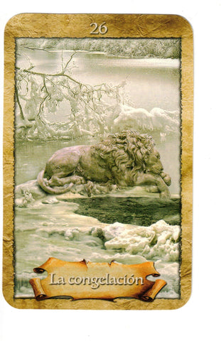 MAPA ENCANTADO, EL (LIBRO Y CARTAS) NUEVA EDICION