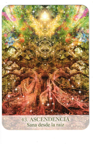 ORACULO DE LOS ARCANGELES FEMENINOS (LIBRO Y CARTAS)