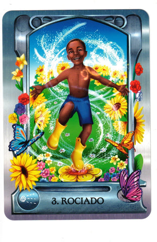 ORACULO ALQUIMICO DEL AGUA. UN MAZO DE 40 CARTAS CON MANUAL
(LIBRO Y CARTAS)