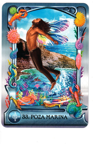 ORACULO ALQUIMICO DEL AGUA. UN MAZO DE 40 CARTAS CON MANUAL
(LIBRO Y CARTAS)