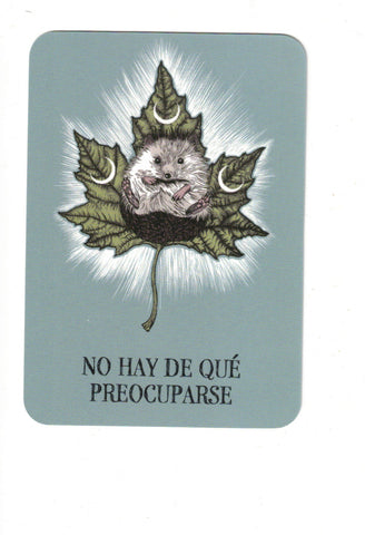 BOLA DE CRISTAL. ORACULO DE BOLSILLO (GUIA Y CARTAS)