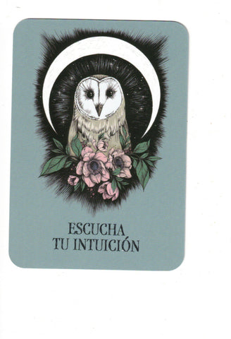 BOLA DE CRISTAL. ORACULO DE BOLSILLO (GUIA Y CARTAS)
