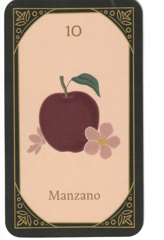 ROSA MISTICA. EL ORACULO (LIBRO Y CARTAS)