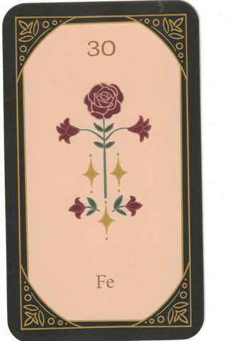 ROSA MISTICA. EL ORACULO (LIBRO Y CARTAS)
