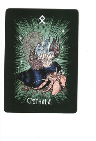 ORACULO RUNICO DE LOS ANIMALES, EL (LIBRO Y CARTAS)