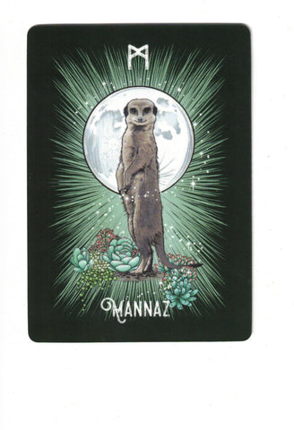 ORACULO RUNICO DE LOS ANIMALES, EL (LIBRO Y CARTAS)