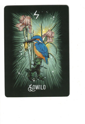 ORACULO RUNICO DE LOS ANIMALES, EL (LIBRO Y CARTAS)