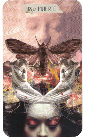 TAROT DE LAS MUSAS, EL (LIBRO Y CARTAS)