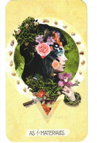 TAROT DE LAS MUSAS, EL (LIBRO Y CARTAS)