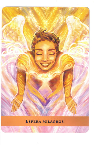 ORACULO DE LOS ANGELES GUIA (LIBRO Y CARTAS)
