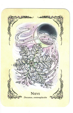 BRUJA VERDE LA . EL ORACULO (LIBRO Y CARTAS)