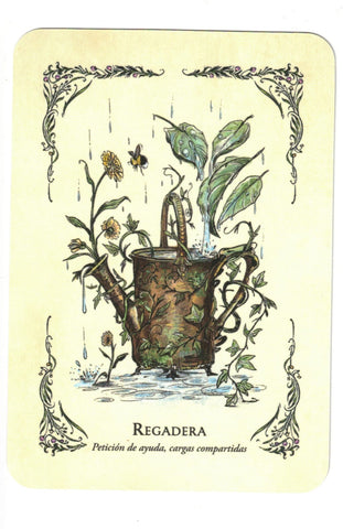 BRUJA VERDE LA . EL ORACULO (LIBRO Y CARTAS)
