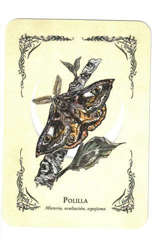 BRUJA VERDE LA . EL ORACULO (LIBRO Y CARTAS)