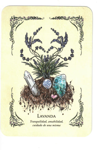 BRUJA VERDE LA . EL ORACULO (LIBRO Y CARTAS)