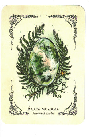 BRUJA VERDE LA . EL ORACULO (LIBRO Y CARTAS)