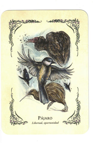BRUJA VERDE LA . EL ORACULO (LIBRO Y CARTAS)