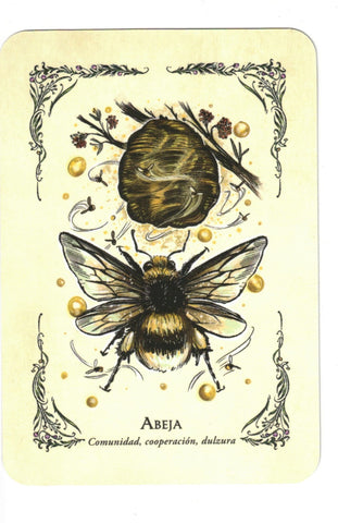 BRUJA VERDE LA . EL ORACULO (LIBRO Y CARTAS)