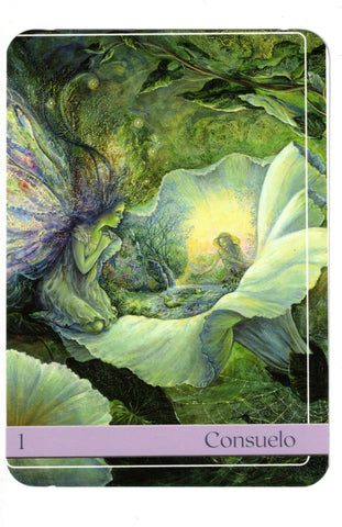 ORACULO DE VIBRACIONES ANGELICALES (LIBRO Y CARTAS)