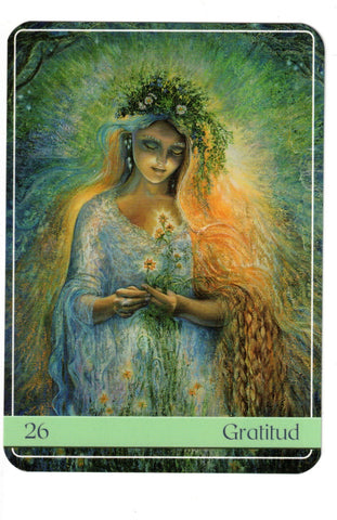 ORACULO DE VIBRACIONES ANGELICALES (LIBRO Y CARTAS)