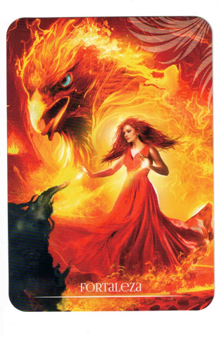 ORACULO DEL FENIX (LIBRO Y CARTAS)