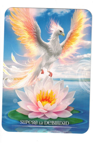 ORACULO DEL FENIX (LIBRO Y CARTAS)