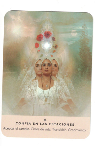 ORACULO DE LA ROSA (LIBRO Y CARTAS)