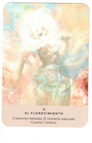 ORACULO DE LA ROSA (LIBRO Y CARTAS)