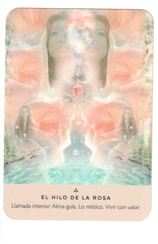 ORACULO DE LA ROSA (LIBRO Y CARTAS)