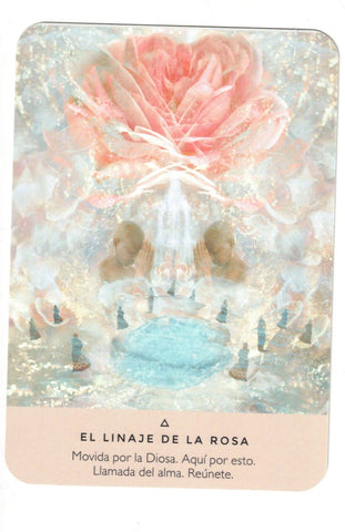 ORACULO DE LA ROSA (LIBRO Y CARTAS)