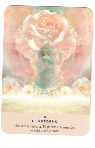 ORACULO DE LA ROSA (LIBRO Y CARTAS)
