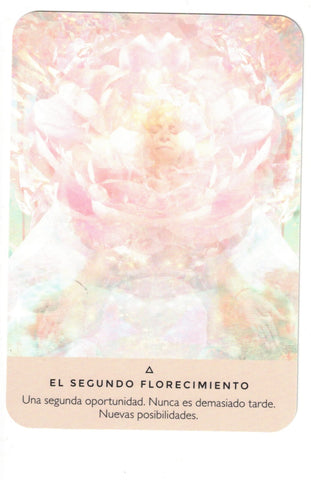 ORACULO DE LA ROSA (LIBRO Y CARTAS)