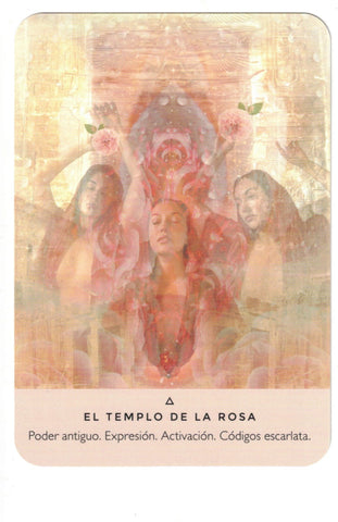 ORACULO DE LA ROSA (LIBRO Y CARTAS)