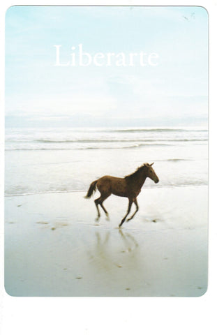 LIBERACION DEL ALMA, LA (CARTAS)