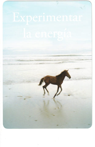 LIBERACION DEL ALMA, LA (CARTAS)