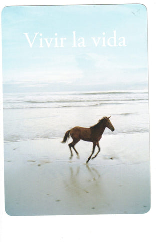 LIBERACION DEL ALMA, LA (CARTAS)