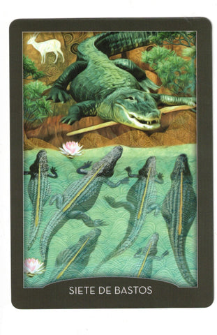 GUARDIAN DE LA NOCHE, EL. TAROT (LIBRO Y CARTAS)