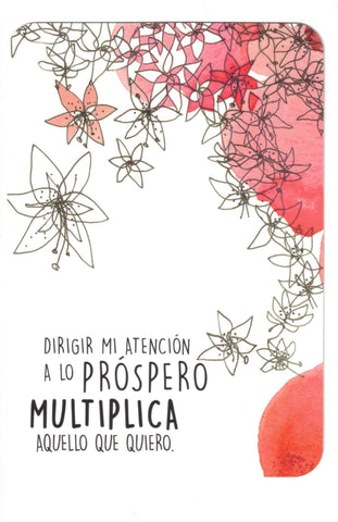 SUPER ATRACTOR (LIBRO Y CARTAS)