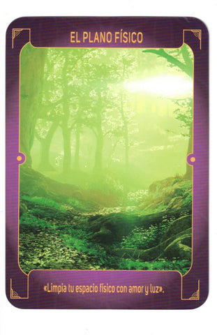 ORACULO DE LOS REGISTROS AKASHICOS (LIBRO Y CARTAS)