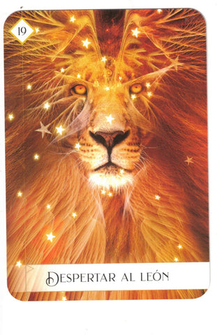 ORACULO DE LAS 7 ENERGIAS (LIBRO Y CARTAS)