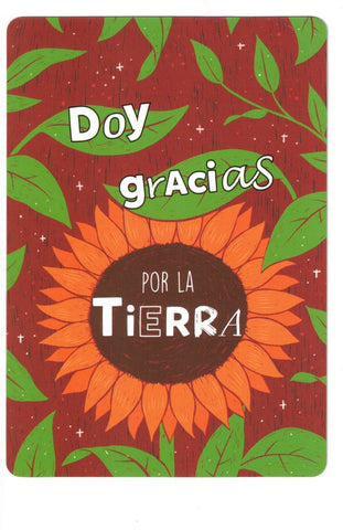 ELEVA TUS VIBRACIONES (LIBRO Y CARTAS)