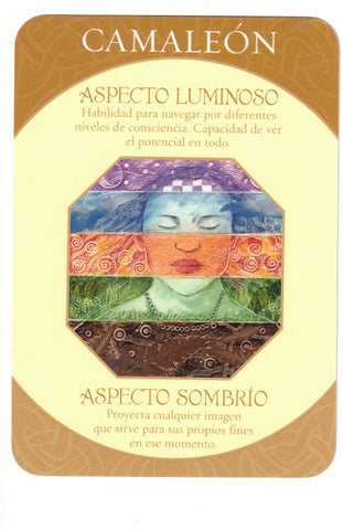 CARTAS DE LOS ARQUETIPOS (LIBRO Y CARTAS)