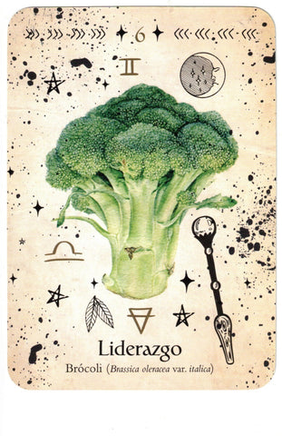 ORACULO DE LA BRUJA VERDE (LIBRO Y CARTAS)