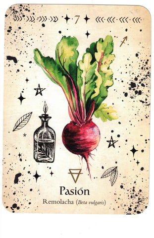 ORACULO DE LA BRUJA VERDE (LIBRO Y CARTAS)