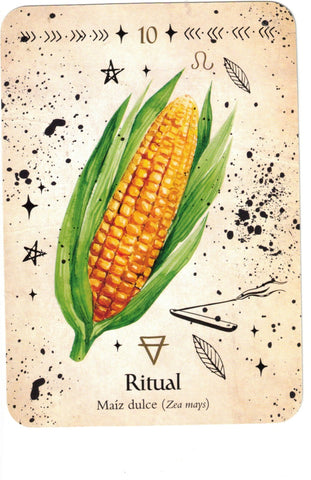 ORACULO DE LA BRUJA VERDE (LIBRO Y CARTAS)