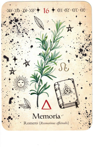 ORACULO DE LA BRUJA VERDE (LIBRO Y CARTAS)