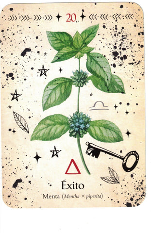 ORACULO DE LA BRUJA VERDE (LIBRO Y CARTAS)