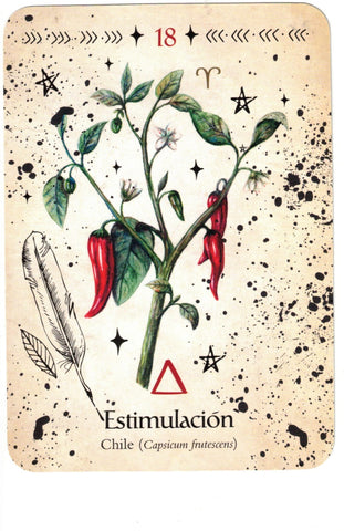 ORACULO DE LA BRUJA VERDE (LIBRO Y CARTAS)
