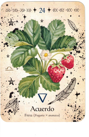 ORACULO DE LA BRUJA VERDE (LIBRO Y CARTAS)