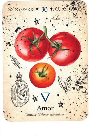 ORACULO DE LA BRUJA VERDE (LIBRO Y CARTAS)